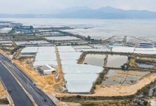 惠州这条村,是一片海滩的巨变!-惠州装维总工会