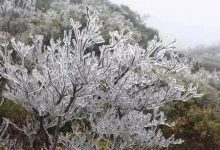 惠州气温最低2℃!回温就在…-惠州装维总工会