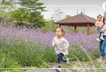 好玩不贵！这份「春日出游指南」必须收藏！-惠州装维总工会