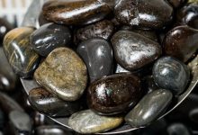 专门用石头炒菜的店,还有份椰子生蚝鸡火锅……-惠州装维总工会