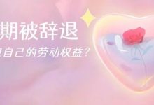 哺乳期被辞退,如何捍卫自己的劳动权益?-惠州装维总工会