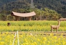 随手一拍就是大片,惠州这家新景区超Nice!-惠州装维总工会