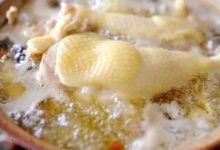 桥东35年的老字号鸡煲，每口都是熟悉家常味-惠州装维总工会