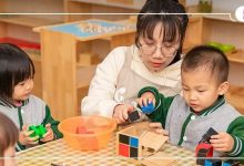9年口碑!惠州这家早教被种草多次,现在还有机会免费获课-惠州装维总工会