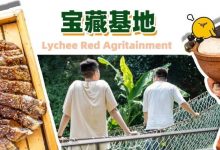 曝光惠州人20000㎡的宝藏基地！炭火煲汤、烤羊排，绝了...-惠州装维总工会