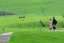 等疫情过后，这15个打卡地，要去走走！-惠州装维总工会