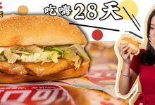 在惠州低至2元吃麦当劳,板烧鸡腿堡5元一个!-惠州装维总工会