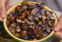 在惠州,没吃过这个东西,是会被嘲笑的-惠州装维总工会