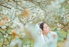 下“雪”啦!千亩梨花惊艳盛放,这个地方美爆了!-惠州装维总工会