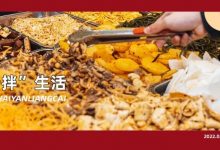 20元有找!博罗街坊从小吃到大的【老牌凉菜】,还没开门就排队...-惠州小破站
