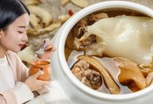 滋补养生的「药膳专门店」来了！还有一道“可以吃的面膜”-惠州小破站