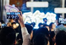 等了1年,惠州首个"非人类"市集终于来了!-惠州装维总工会