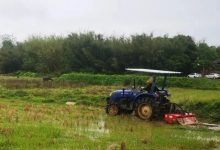 我市各地多渠道盘活撂荒土地资源-惠州装维总工会