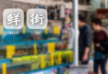 悄悄开在下角的平价海鲜街,吃饭需要坐观光电梯...-惠州小破站