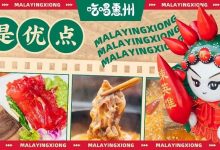 惠州这店,光山寨就开了200多家!-惠州装维总工会