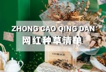 小红书私藏打卡清单，颜控最爱这14家-惠州装维总工会