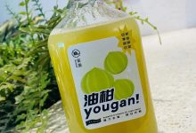 隆生春日饮品节来啦!还有“一人免单”活动!奔赴春天第一杯好饮!-惠州装维总工会