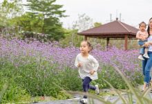 最新！惠州10个好去处来了，还有好消息！-惠州装维总工会