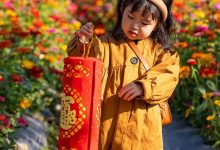 假期去哪玩才尽兴?采摘、花海、萌宠...来这里全都有!-惠州装维总工会