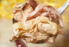 从深圳火到惠州！9种药材熬制「猪肚鸡」，味鲜料足！-惠州小破站