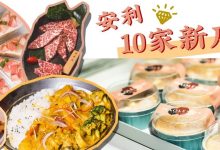 最近值得推荐的10家新店!含金量超200%,来了就不想走!-惠州装维总工会