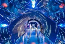 江北有间馆,里面很多新奇的东西,惠州大部分人没去过-惠州装维总工会