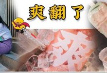 倒计时2天!低至8元/杯的水果冰沙来了,吸一口就“爽翻”!-惠州装维总工会