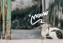 看!惠州那些可爱瞬间!-惠州装维总工会