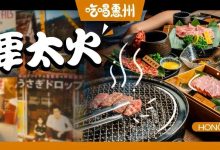 在惠州,收割全网【五星】好评的店!来晚了没得吃...-惠州装维总工会