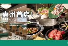 惠州第1家！在深圳火足8年的「地道椰子鸡」，限时3天免费吃鸡！-惠州小破站