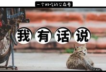 历时2小时,我们在惠州街头捡了417根烟头...-惠州小破站