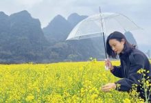 桃花·樱花·格桑花·油菜花·三月天浪漫齐聚绽放!英德纯玩2天!¥398食足3餐!英德小张家界洞天仙境、广东小桂林峰林小镇!-惠州装维总工会