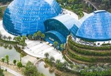 惠州这些场馆、景区、景点暂停开放-惠州装维总工会