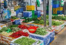 惠州这个市场，不一样了-惠州装维总工会