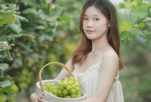 日本卖300元的「青色大胖子」,惠州这个地方30元-惠州装维总工会