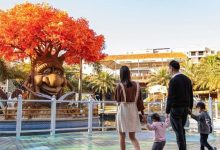 就在江北！新开了一间近6000㎡的萌宠乐园-惠州装维总工会