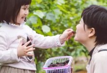 春日必打卡!9.9元抢八桂寿乡桑葚采摘门票!一起去摘果子吧-惠州装维总工会