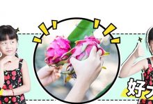 9.9元摘2斤火龙果！这个吃农家菜的生态园，二十分钟就能到-惠州小破站