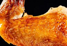 “人均30+,我敢说,没有一个惠州本地人能拒绝它”-惠州装维总工会