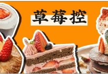 惠州15款高颜值草莓单品合集!有的再不吃就没了-惠州小破站