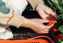 惠州「小众度假地」,知道的人不多,速码!-惠州装维总工会