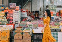 不是吧，惠州这家「猫山王榴莲」，只要0.1元？-惠州装维总工会