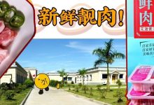 限量200份！惠州人快收好这份「猪肉特价清单」，低至28元/盒-惠州装维总工会