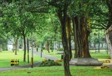 惠州一公园有不少老古董,还很“名贵”-惠州装维总工会