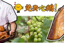 「私房鹅」免费送！吃货盼望已久的农庄终于营业，还打3.8折！-惠州装维总工会