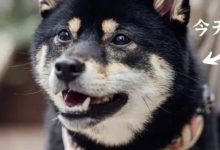 能答满分的,算你狠!-惠州装维总工会