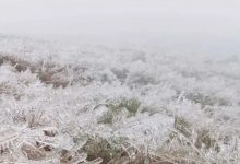 惠州出现罕见雾凇冰挂!未来几天气温最低2℃-惠州装维总工会