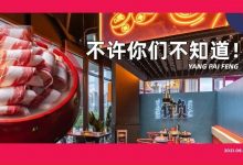 1元1个扇贝!惠州这家10年老店,这次变样了?-惠州装维总工会