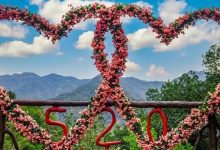 惠州周边这个地方超100万朵禾雀花开了!打卡新网红仙境九重飞瀑——千谷溪,赏醉美七彩禾雀花!-惠州装维总工会