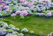 4月旅行地推荐| 疫情延缓了脚步,却无法阻挡我们对春日美景的向往!-惠州小破站